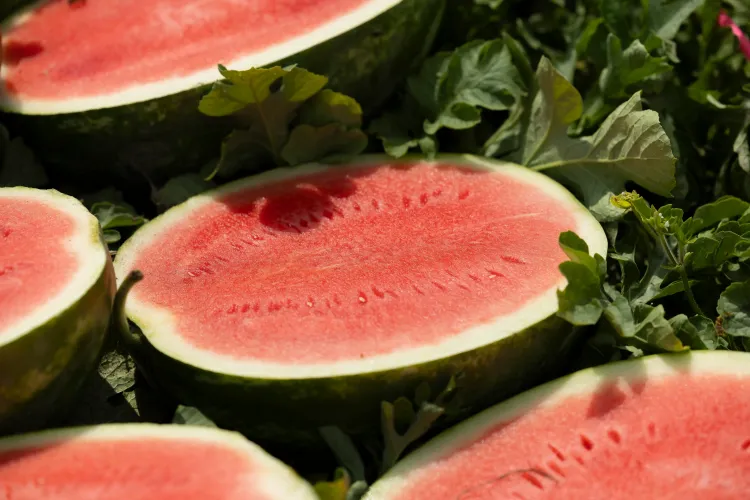 HM.CLAUSE Watermelon